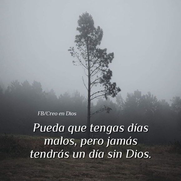 david_luis